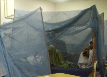 Bangladeş’te dang hummasıyla ilgili ölü sayısı artıyor