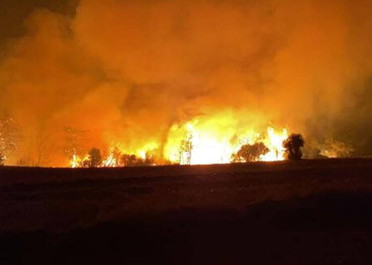 Çanakkale'deki yangın devam ediyor: 9 köy tahliye edildi 1 Çanakkale’deki yangın devam ediyor: 9 köy tahliye edildi