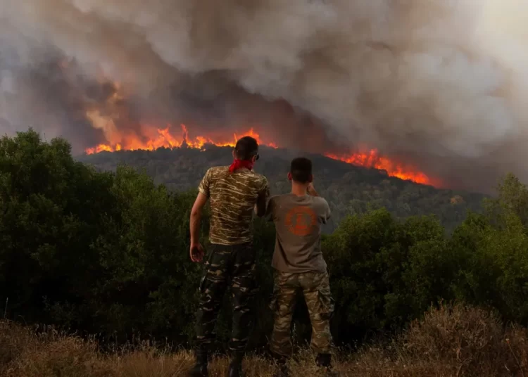 Yunanistan'ın Meriç Bölgesi 11 gündür yanıyor: New York büyüklüğünde bir alan kül oldu 1 Yunanistan’ın Meriç Bölgesi 11 gündür yanıyor: New York büyüklüğünde bir alan kül oldu