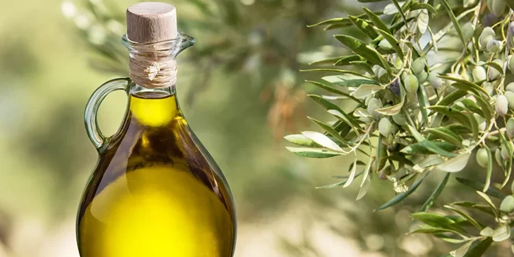 Zeytinyağında alarm: Litresi 600 TL’ye çıkabilir 1 Zeytinyağı fiyatları bir ayda yüzde 75 arttı