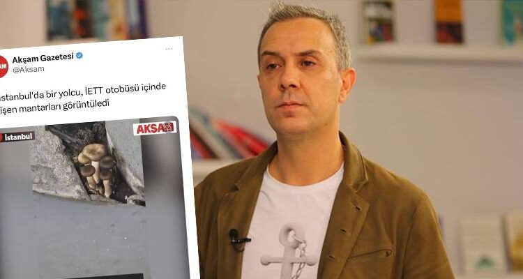 Sabah yazarı, “İBB otobüsünde mantar yetişti” yazısı için özür diledi 1 Sabah yazarı, “İBB otobüsünde mantar yetişti” yazısı için özür diledi