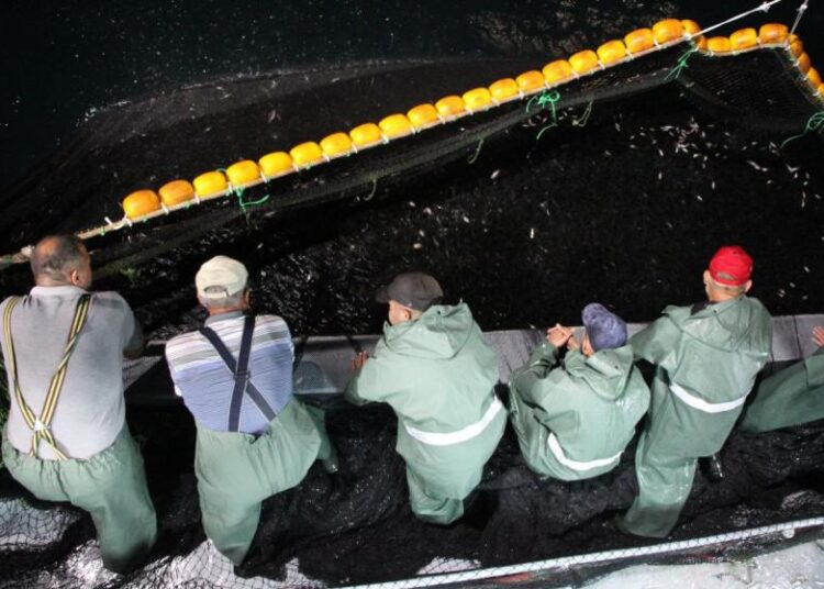 Av yasağı bitti, ağları dolduran balıkçılar ilk mezatları yaptı 1 Av yasağı bitti, ağları dolduran balıkçılar ilk mezatları yaptı