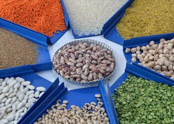 Gıda fiyatları dünyada son iki yılın en düşük seviyesinde