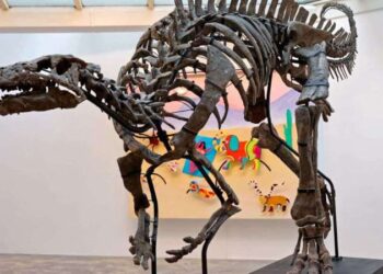 150 milyon yıllık dinozor iskeleti satılıyor