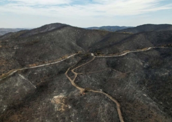 Yunanistan: Meriç Bölgesi’ndeki yangından 25 göçmen kurtarıldı