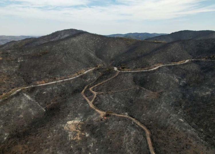 Yunanistan: Meriç Bölgesi’ndeki yangından 25 göçmen kurtarıldı