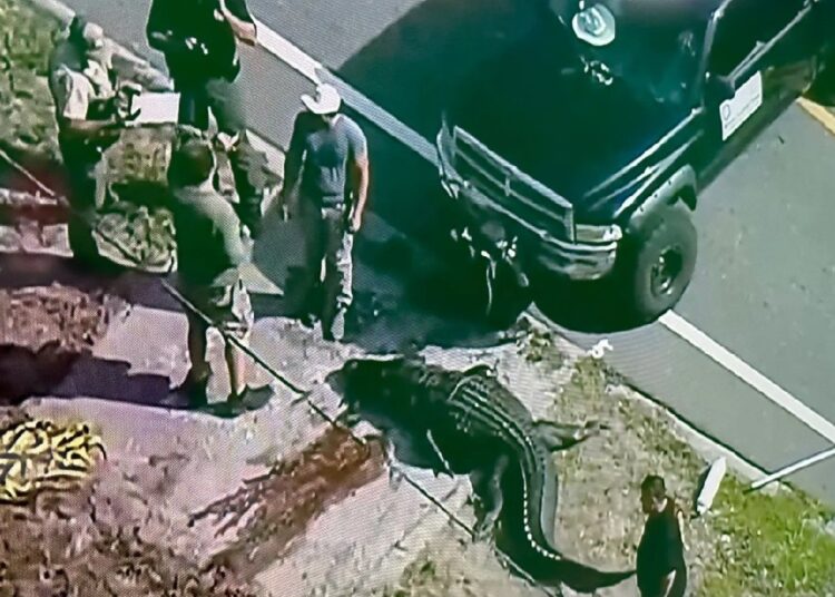 Ağzında cesetle sokağa indi 1 Ağzında cesetle sokağa indi