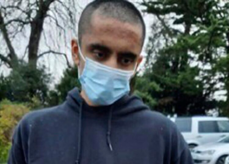 Yapay zekanın Kraliçe II. Elizabeth’i öldürmeye teşvik ettiği İngiliz 9 yıla mahkum edildi