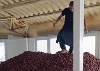 Ayakkabılarıyla kayısılara basan üreticiye ceza