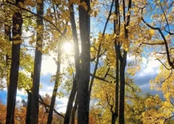 Pastırma yazı geldi: Sıcaklıklar birden artacak