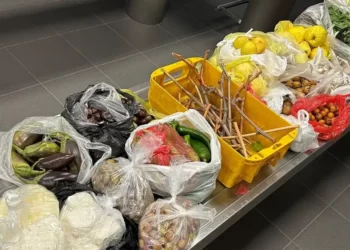 Türkiye’den getirilen yiyecekler Alman gümrüğüne takıldı