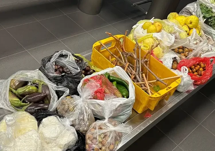 Türkiye'den getirilen yiyecekler Alman gümrüğüne takıldı 1 Türkiye’den getirilen yiyecekler Alman gümrüğüne takıldı