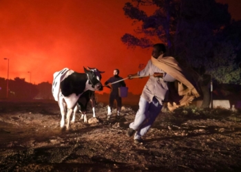 Dünya Sağlık Örgütü: Korkunç bir durum yaşanıyor, 216 milyon insan tehlike altında