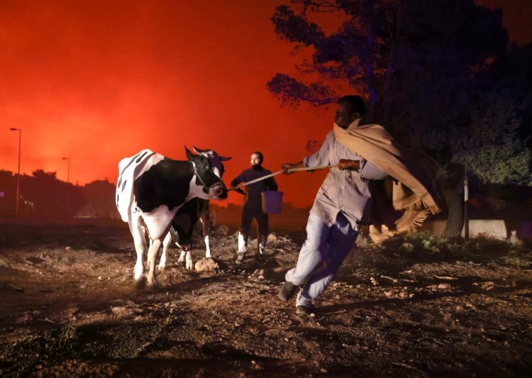 Dünya Sağlık Örgütü: Korkunç bir durum yaşanıyor, 216 milyon insan tehlike altında