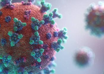 Sadece erkekleri öldüren yeni bir virüs keşfedildi