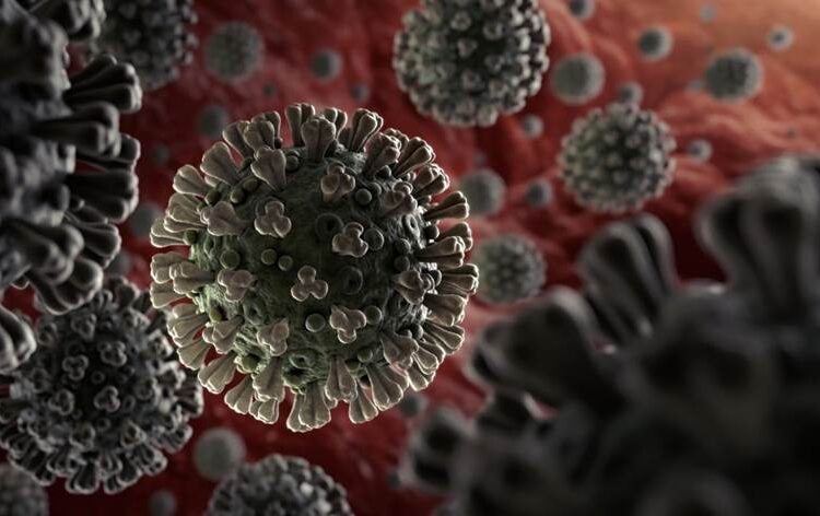 أربعة أمراض تنتقل من الحيوانات للبشر تقتل أضعاف الأشخاص في 2050