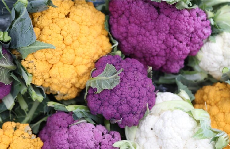 تركيا تصدر القرنبيط الملون إلى روسيا