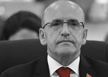 وزير المالية التركي: نسعى لبيع سندات إلى صندوق سيادي إماراتي