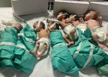 Gazze’de yoğun bakımda çürüyen bebeklerin görüntüleri, Batı medyasında geniş yer aldı