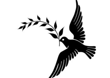 Safa Kar yazdı… Galatasaray ne kaybetti?