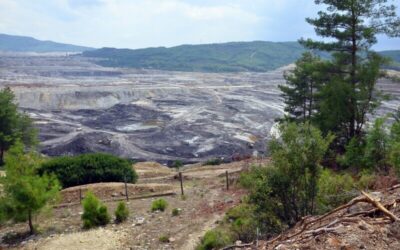 Akbelen Ormanı’nı katleden Limak, Bodrum’da sit alanına otel yapacak 2 Akbelen Ormanı’nı katleden Limak, Bodrum’da sit alanına otel yapacak