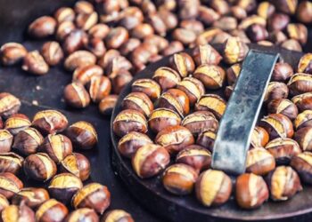 Kestanenin tanesi 10 lira oldu