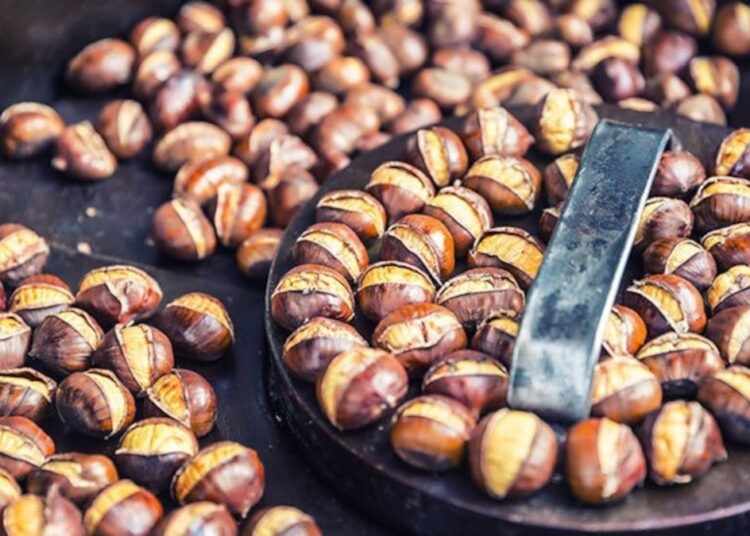 Kestanenin tanesi 10 lira oldu