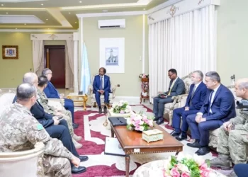 Büyükelçi ve askerler, motokuryenin ölümüne sebep olduktan sonra ülkesine kaçan Somali Cumhurbaşkanı’nı ziyaret etmiş