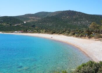 Akbelen Ormanı’nı katleden Limak, Bodrum’da sit alanına otel yapacak