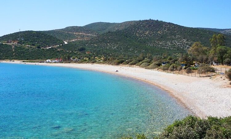 Akbelen Ormanı’nı katleden Limak, Bodrum’da sit alanına otel yapacak 1 Akbelen Ormanı’nı katleden Limak, Bodrum’da sit alanına otel yapacak