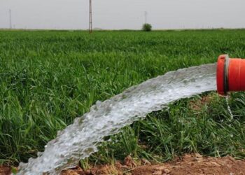 Erdoğan imzaladı: Türk-Sudan Tarım Hayvancılık şirketi tasfiye edildi