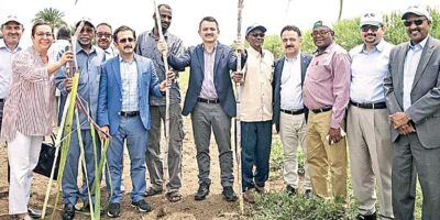 TİGEM’in Sudan’da tarım ve hayvancılık yapma hayali rafa kalktı 2 TİGEM’in Sudan’da tarım ve hayvancılık yapma hayali rafa kalktı