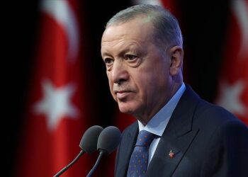 أردوغان: هجمات إسرائيل على غزة تصل إلى حد التطهير العرقي