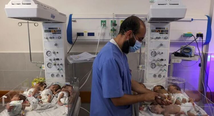 أطباء بلا حدود: فشل مجلس الأمن يجعله "شريكا في المجزرة" بغزة 1 أطباء بلا حدود: فشل مجلس الأمن يجعله “شريكا في المجزرة” بغزة