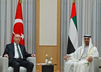 أردوغان خلال اتصال مع الرئيس الإماراتي: من المهم إيقاف إسرائيل بأسرع وقت