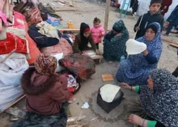 نازحة من غزة تصرخ: كلنا في الشارع.. ونموت ببطء