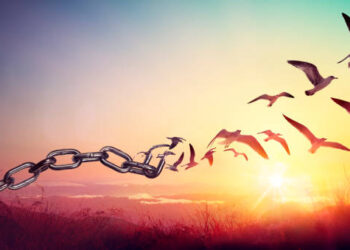 Aslı Güney yazdı… Gazzeli hamile kadınların sesine kim kulak verecek?