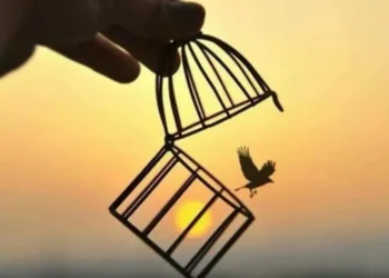 Hüsnü Yusuf Turabiç yazdı… Yerel seçim ve güven oylaması…