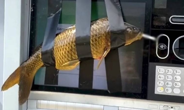 ATM’lere ‘sigara içen balık’ bantladı: Tutuklandı