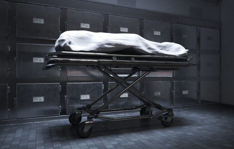 Hastanelerden kimsesiz cesetleri çalıp tıp fakültelerine kadavra olarak satmışlar