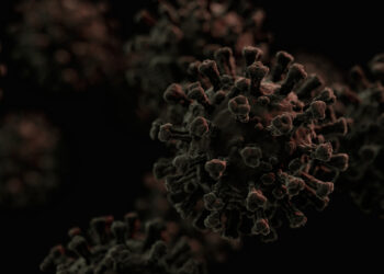 Dünya, Covid-19’dan 20 kat daha ölümcül bir salgınla karşı karşıya