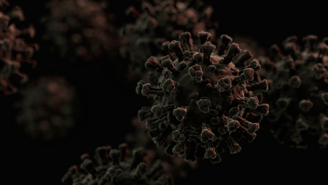 Dünya, Covid-19'dan 20 kat daha ölümcül bir salgınla karşı karşıya 1 Dünya, Covid-19’dan 20 kat daha ölümcül bir salgınla karşı karşıya