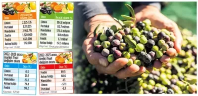 Tarımda rakamlar alt üst! Zeytin, Antep fıstığı ve fındıkta alarm veriyor 3 Tarımda rakamlar alt üst! Zeytin, Antep fıstığı ve fındıkta alarm veriyor