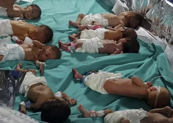 UNICEF: Gazze’de 7 Ekim’den bu yana 20 bin bebek ‘savaş cehenneminde’ dünyaya geldi