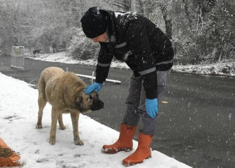 İstanbullulara hafta sonu için kar yağışı uyarısı 1 İstanbullulara hafta sonu için kar yağışı uyarısı
