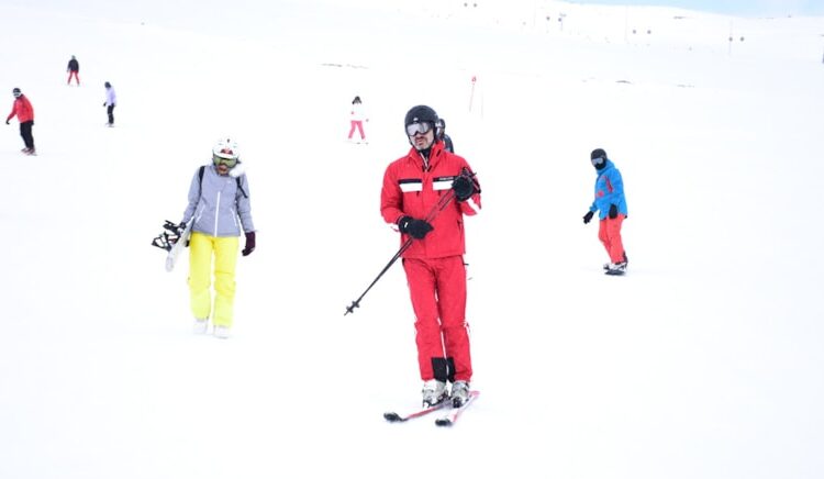 Millet geçim derdinde vekil kayak