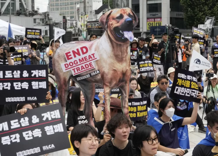 Güney Kore’de köpek eti ticareti ve tüketimi yasaklandı