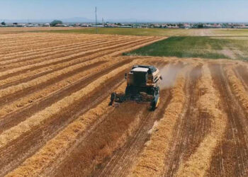 Limak, 46 futbol sahası büyülüğündeki tarım alanına kil ocağı açmak istiyor