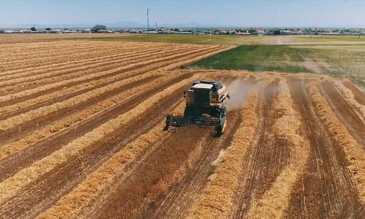 Limak, 46 futbol sahası büyülüğündeki tarım alanına kil ocağı açmak istiyor