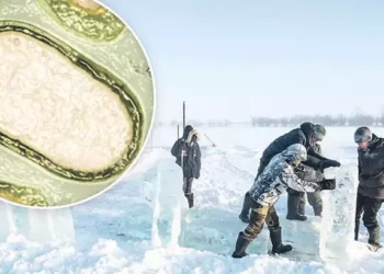 Buzullar eriyince ortaya çıkacak zombi virüsler ölümcül salgına yol açacak